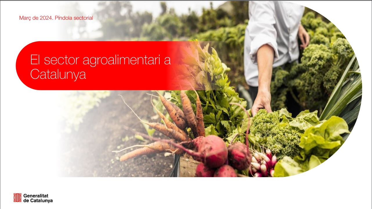 agroproductorsosonallucanes informe_sector_agro