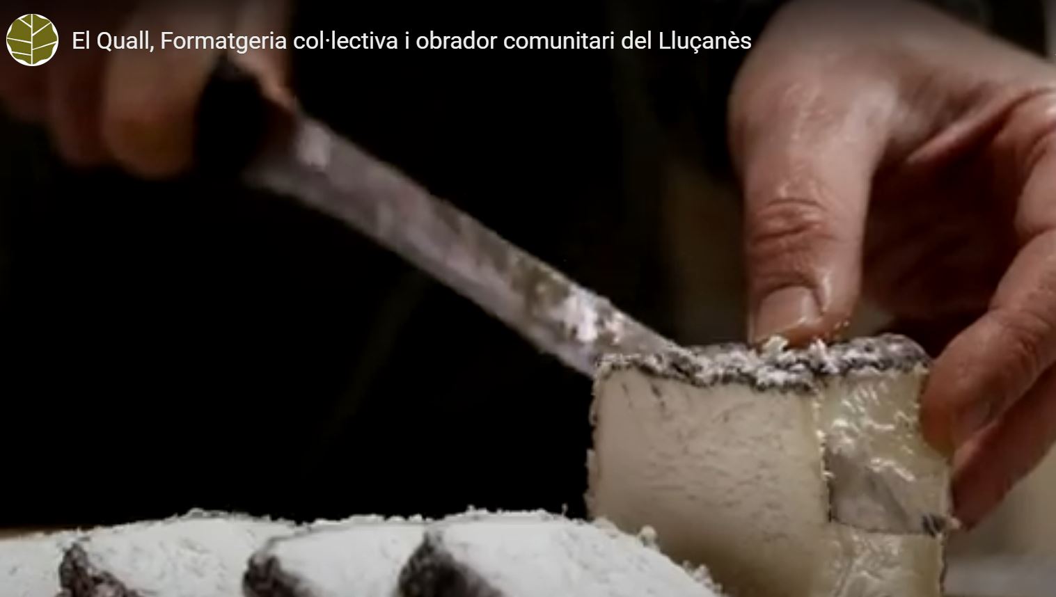 Agroproductorsosonallucanes.cat Curs introducció principals tecnologies elaboració formatges. Imatge cedida pel consorci del Lluçanes