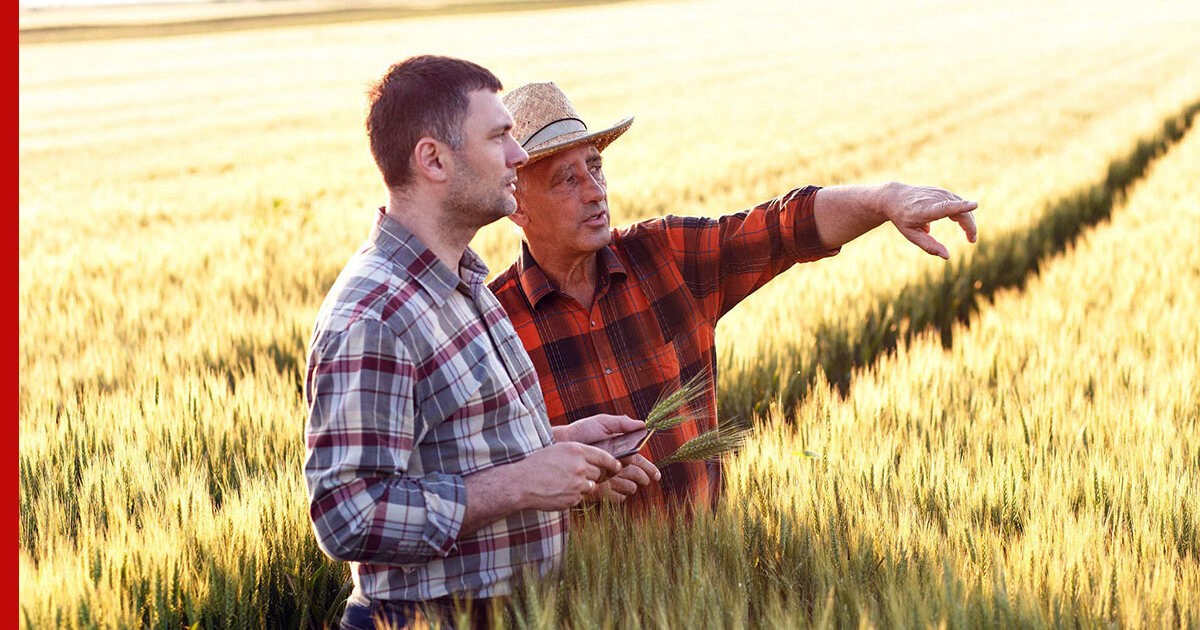 Convocatoria projectes singulars 2025(2)- Agroproductorsosonallucanes.cat