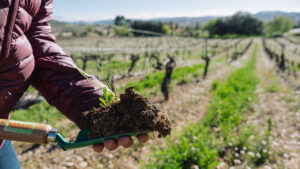 agroproductorsosonallucanes.cat